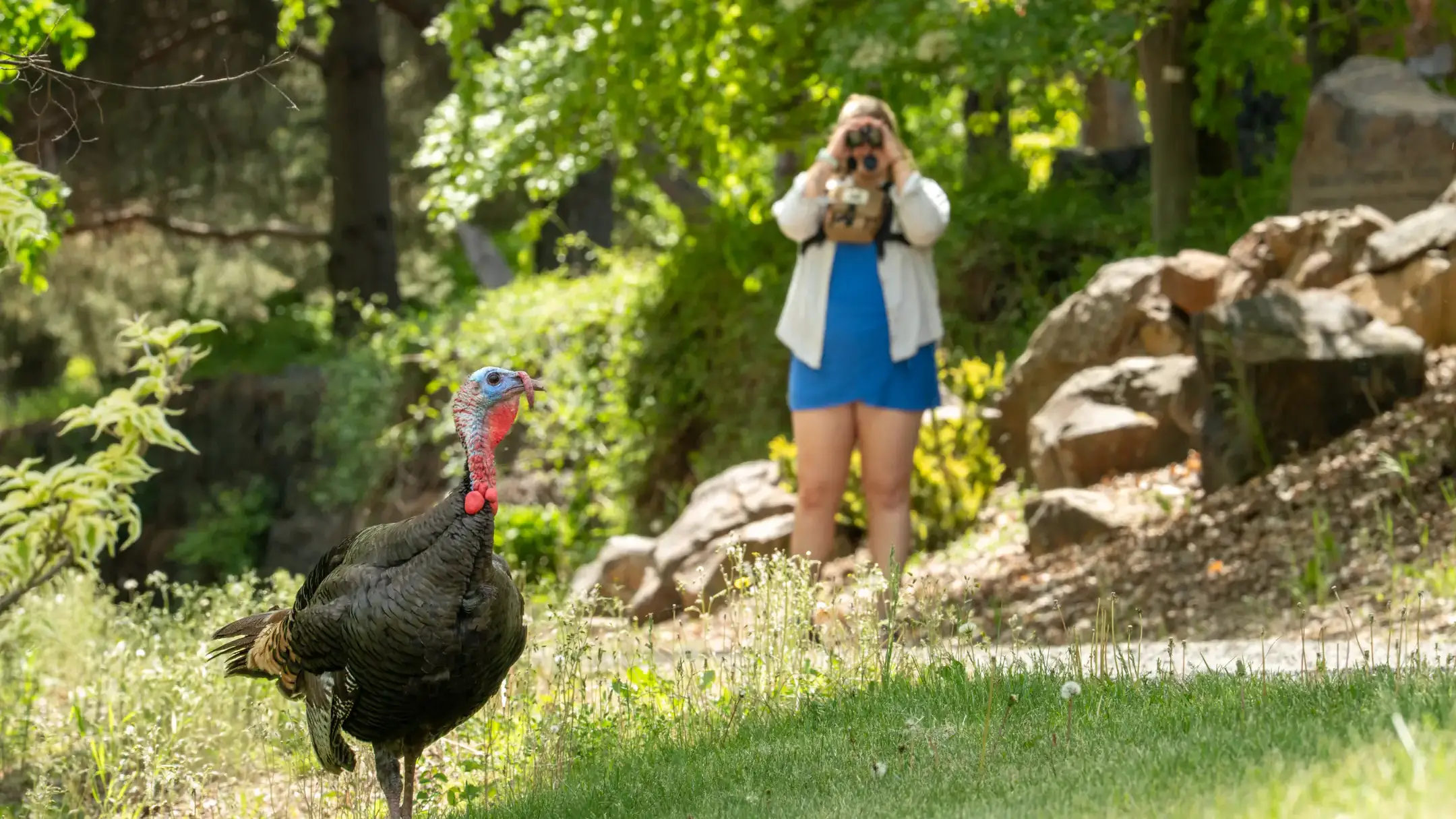 Lexi Arritt is pictured at the University of Idaho Arboretum and Botanical Garden on Tuesday, May 12, 2026. Arritt, who is graduating with a master’s degree in English, is a student in the Confluence Lab developing a narrative-based app and website designed to engage people with science, and primarily birds in Idaho. The Confluence Lab supports creative interdisciplinary research projects that bring together scholars in the arts, humanities and sciences with community members to address environmental issues impacting rural communities.
