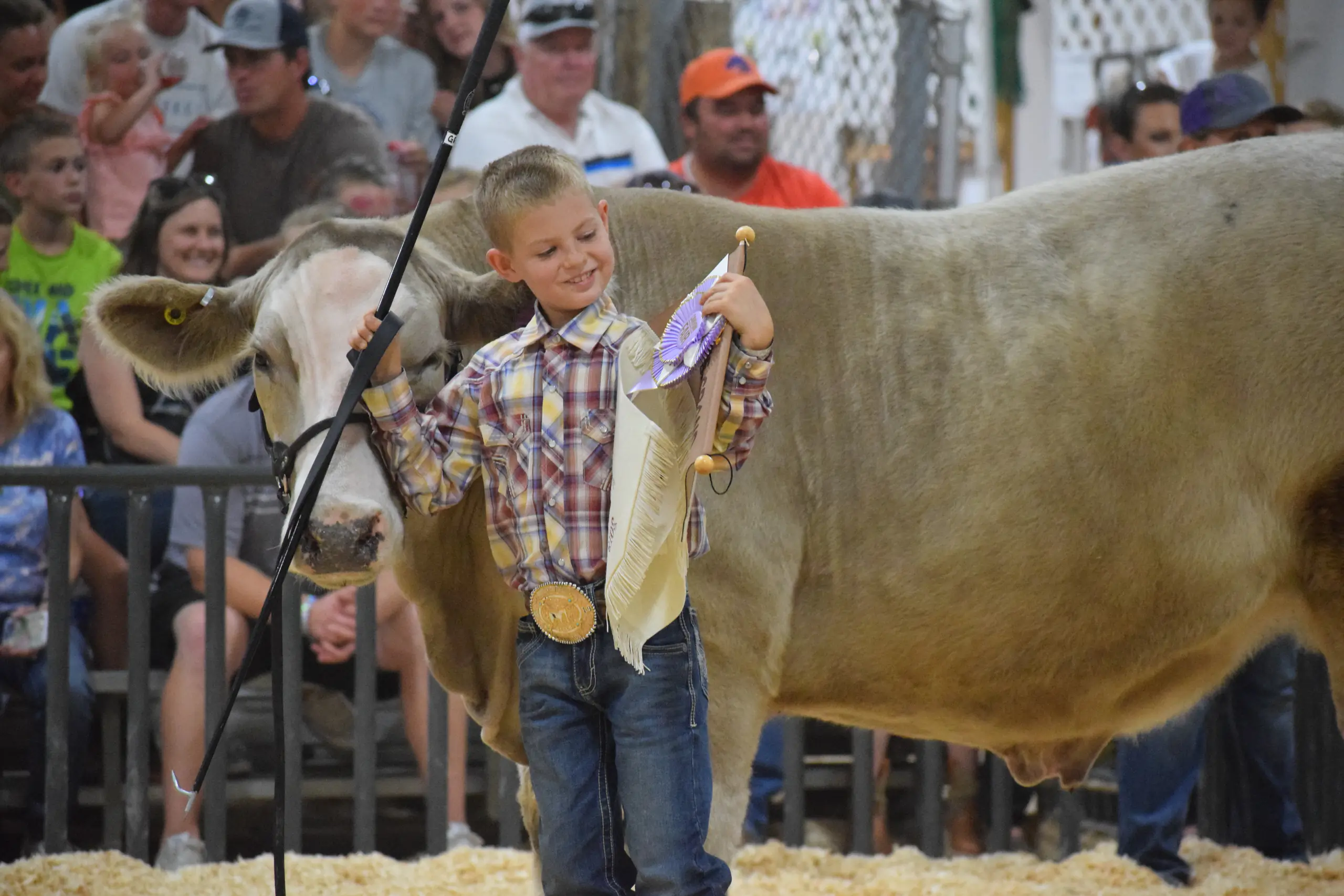 4-H photos and files located in counties