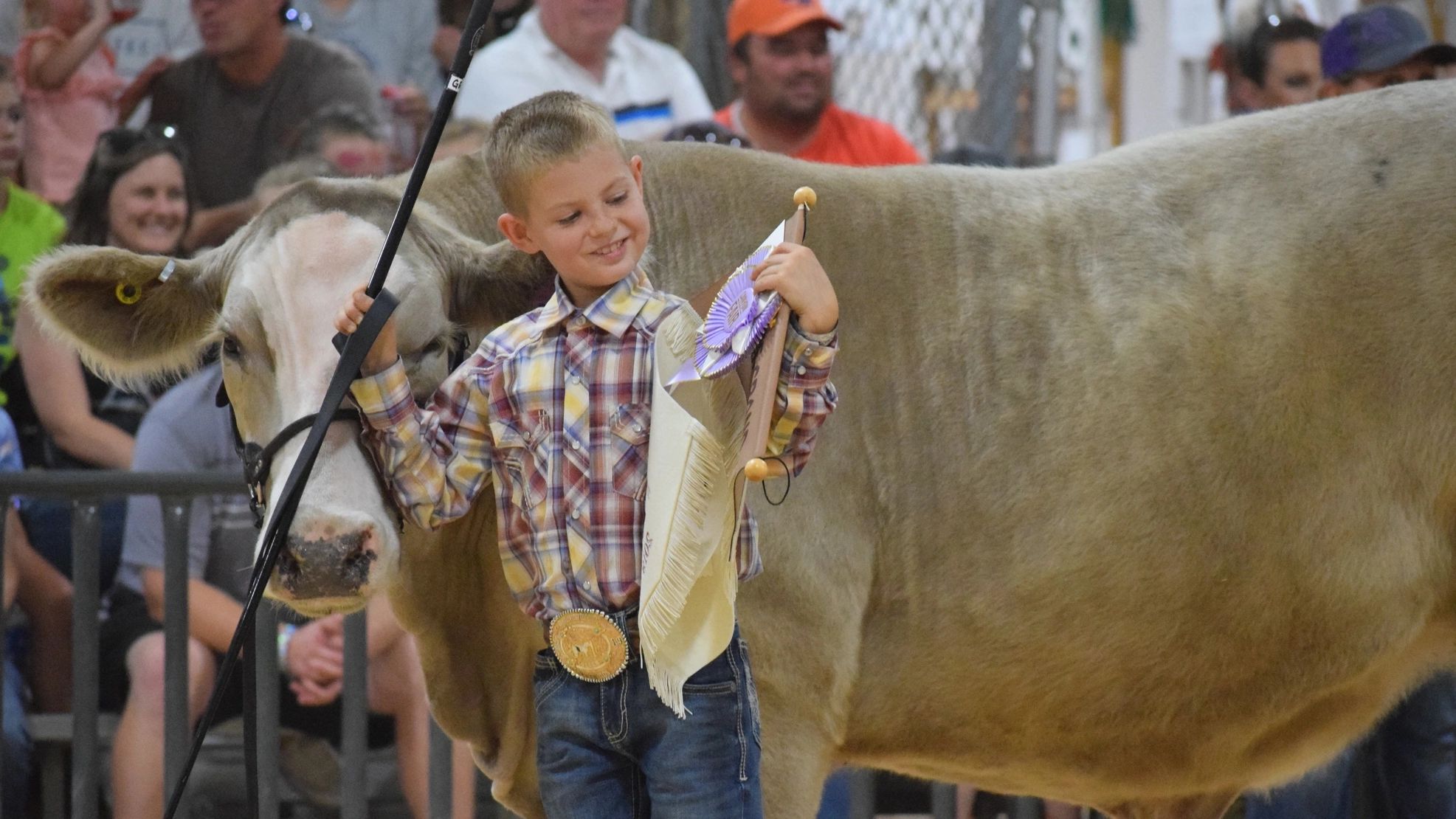 4-H photos and files located in counties