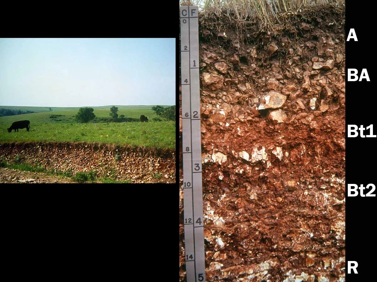 Udic argiustoll in eastern Kansas