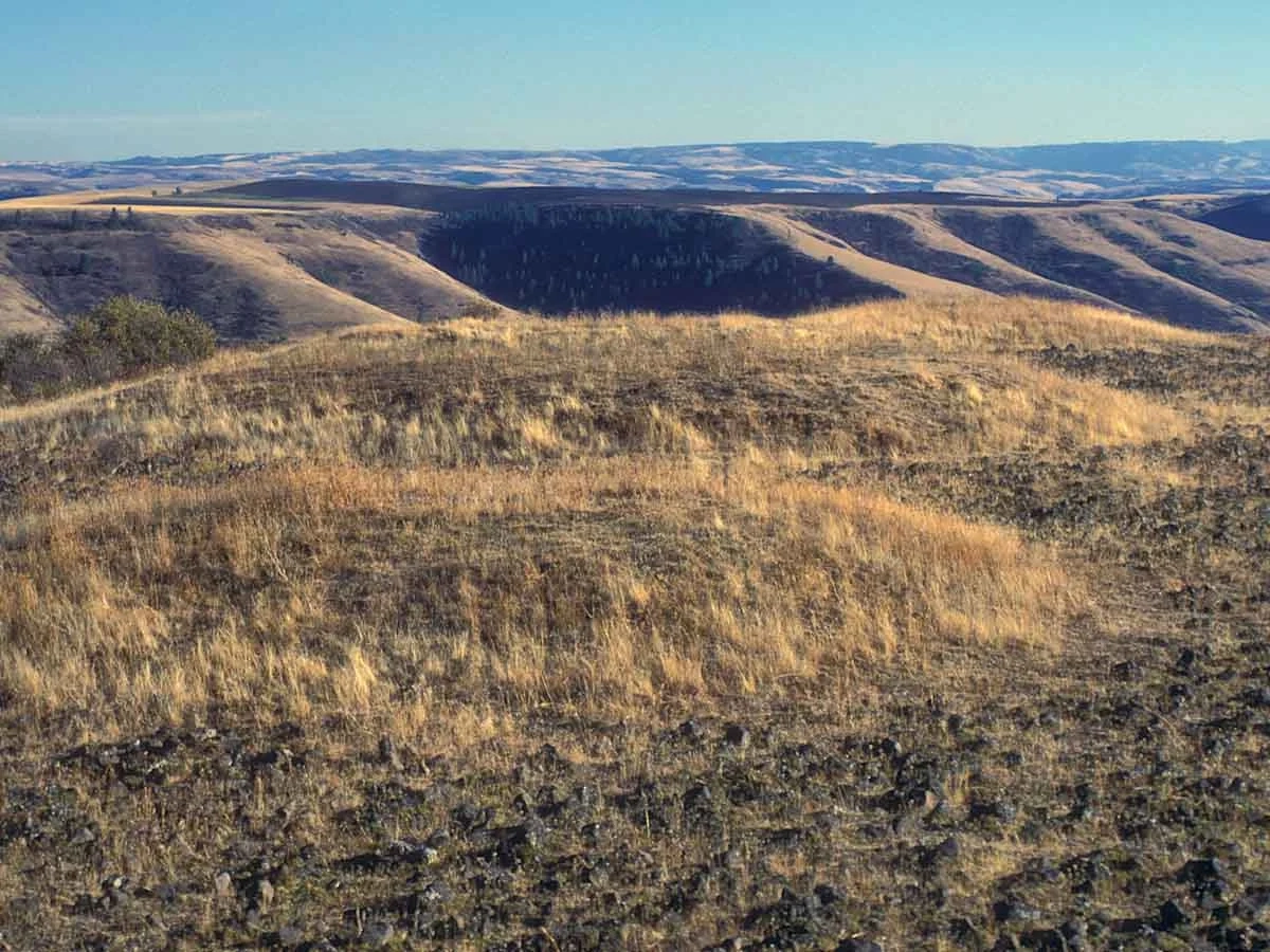 Entisols xerorthent landscape in latah county