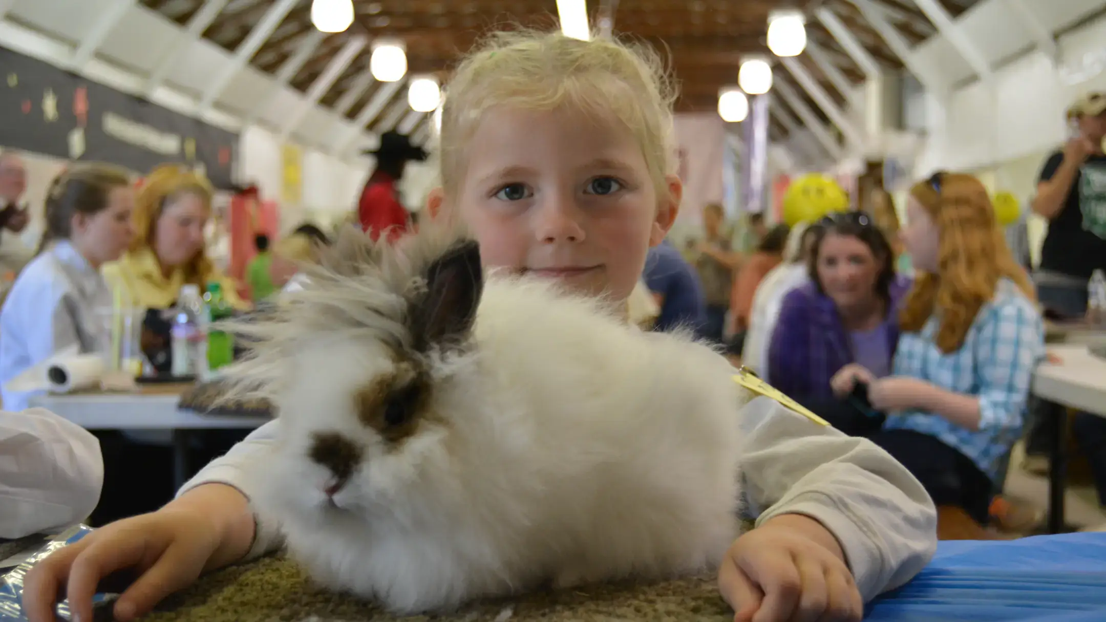 4-H youth photos across the state