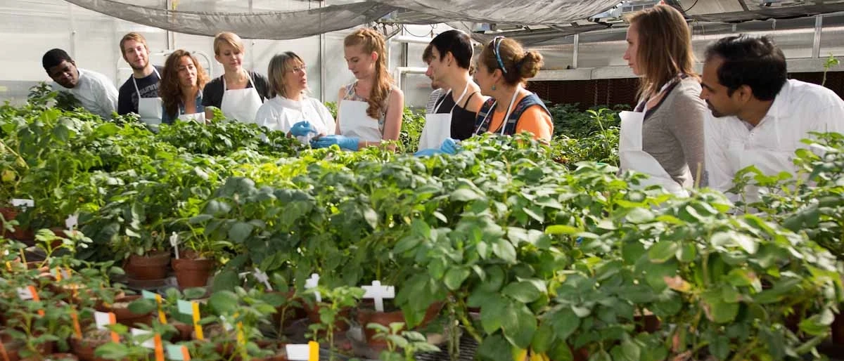 Ten students in the campus greenhouses