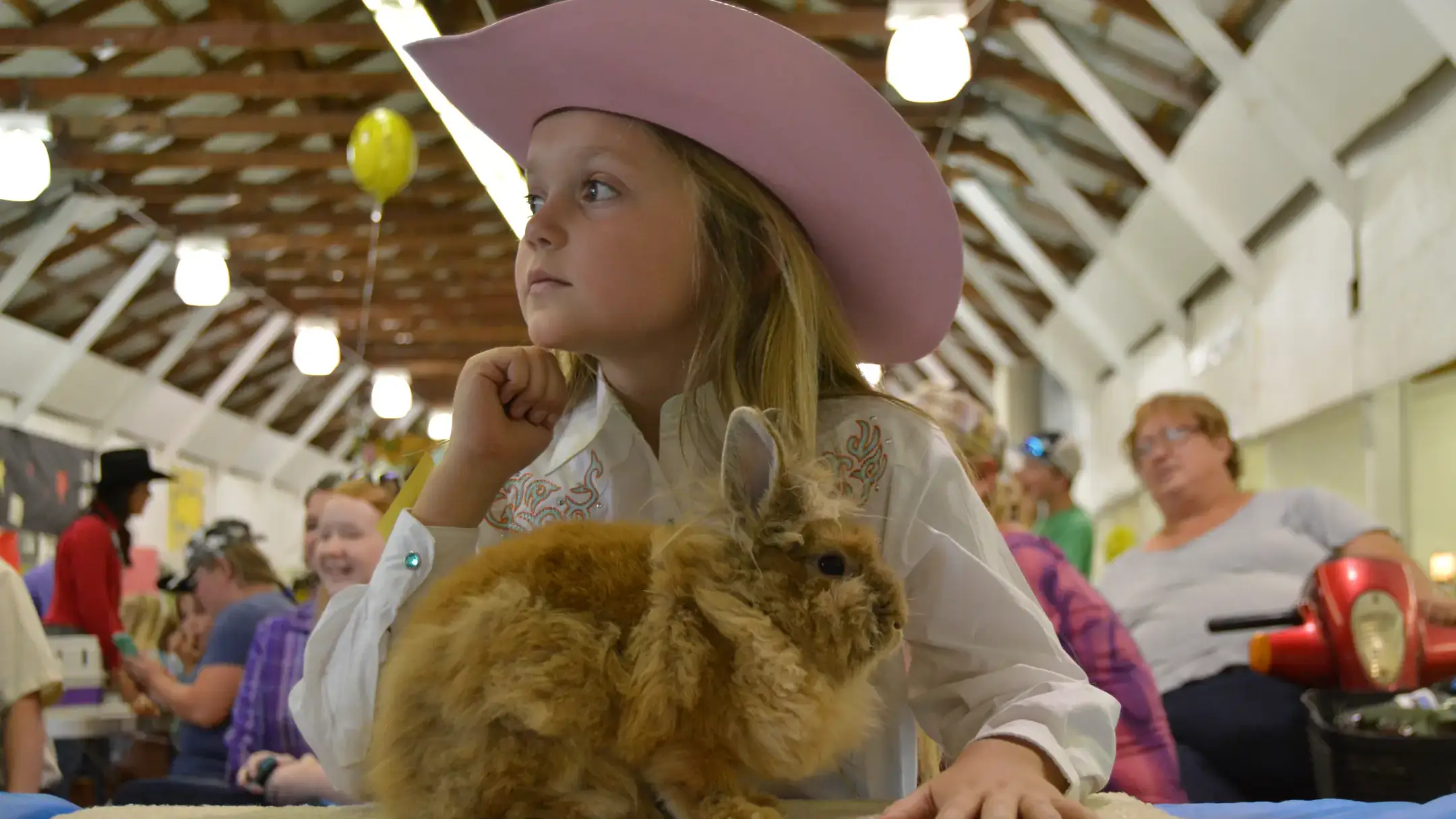 4-H youth photos across the state