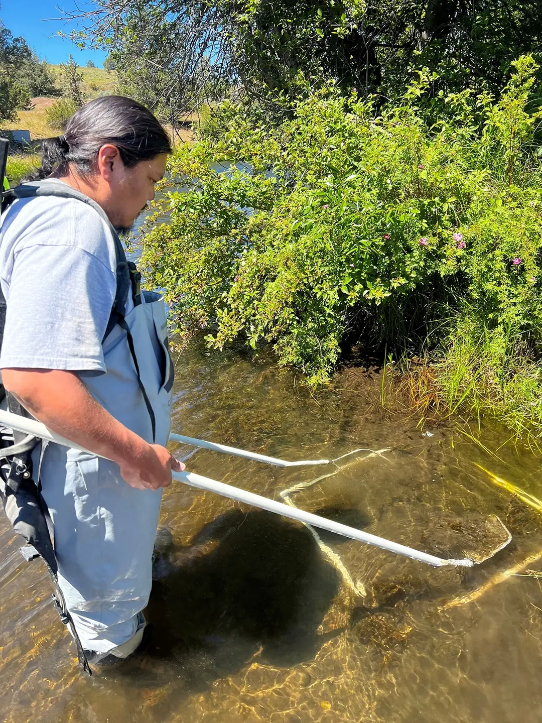 A man with a chin beard and black hair, stands in a stream wearing waders as he uses a marine electroshocking device to stun small fish.
