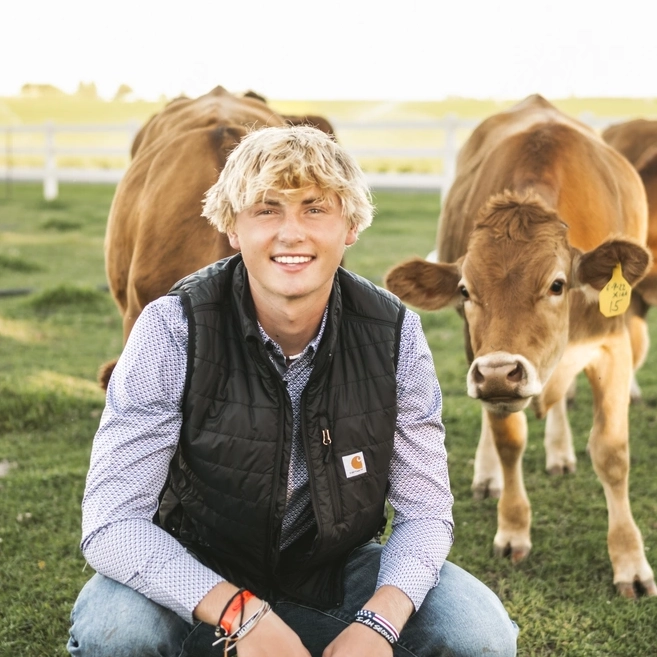 A man squatting with two cows behind him