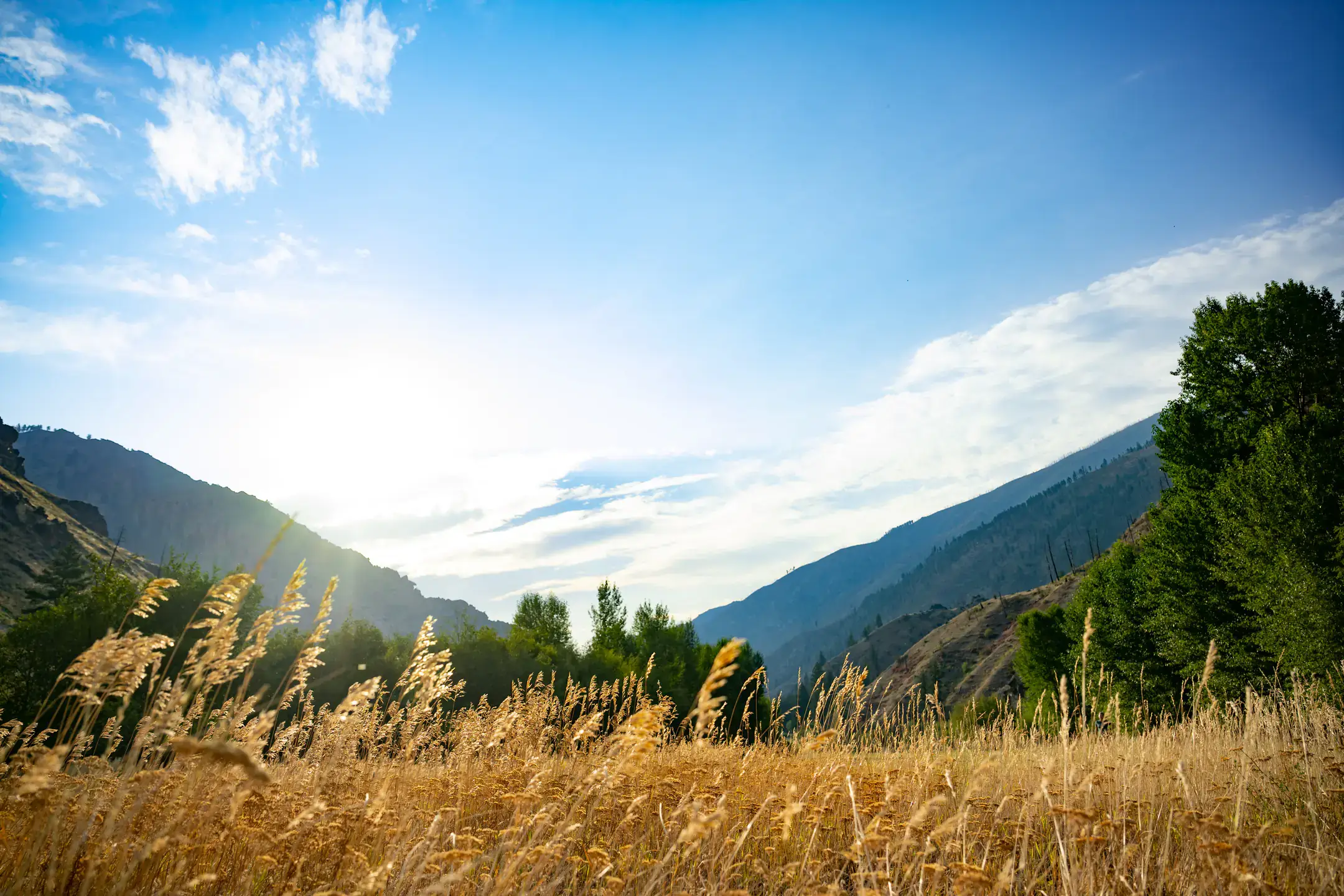 Taylor Wilderness Research Station in the Frank Church Wilderness of No Return.
