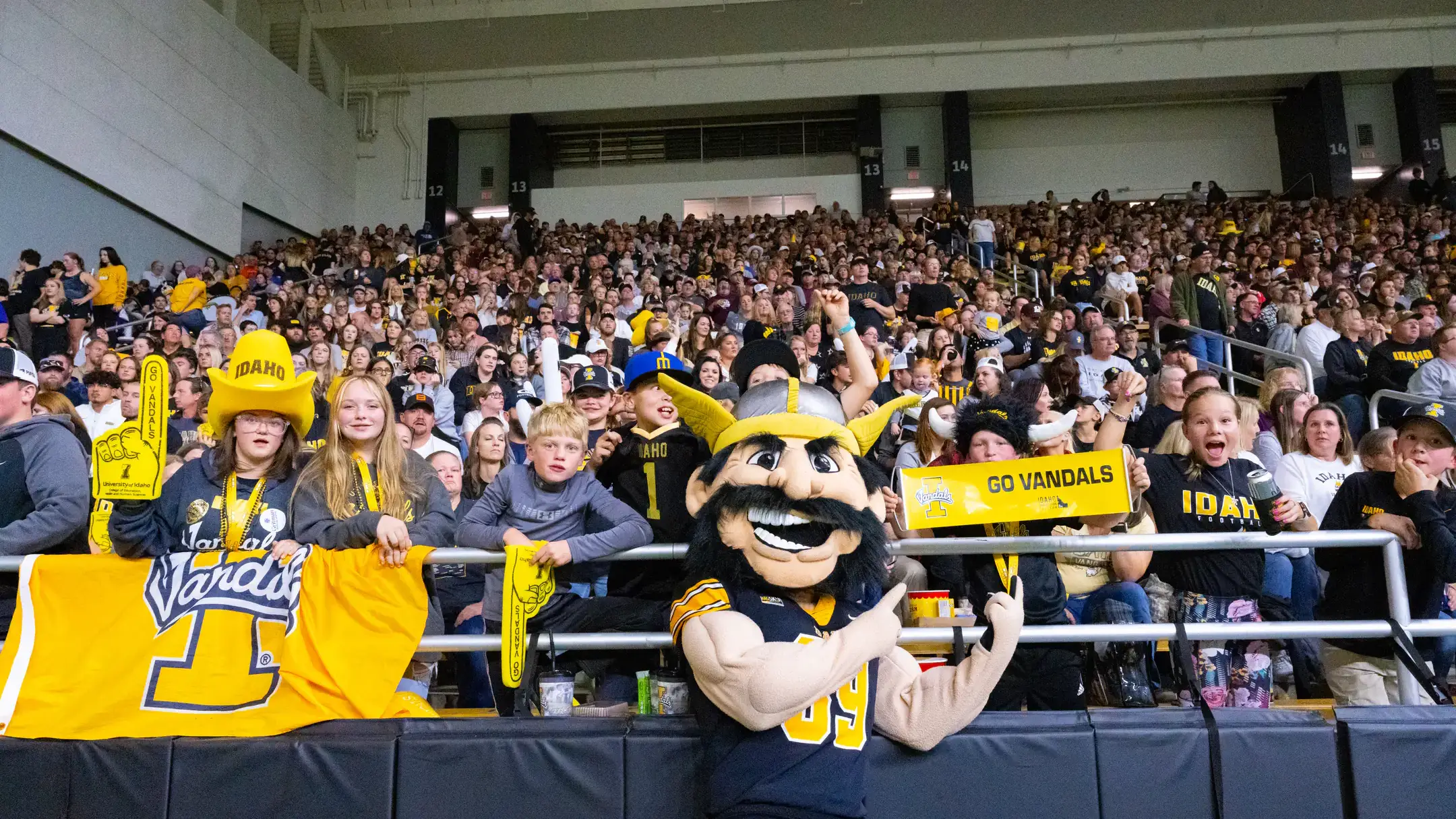 Joe Vandal mascot in front of the crowd at a football game.