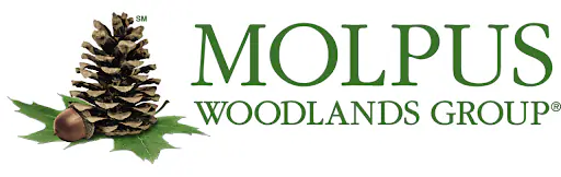 Molpus Woodlands Group logo