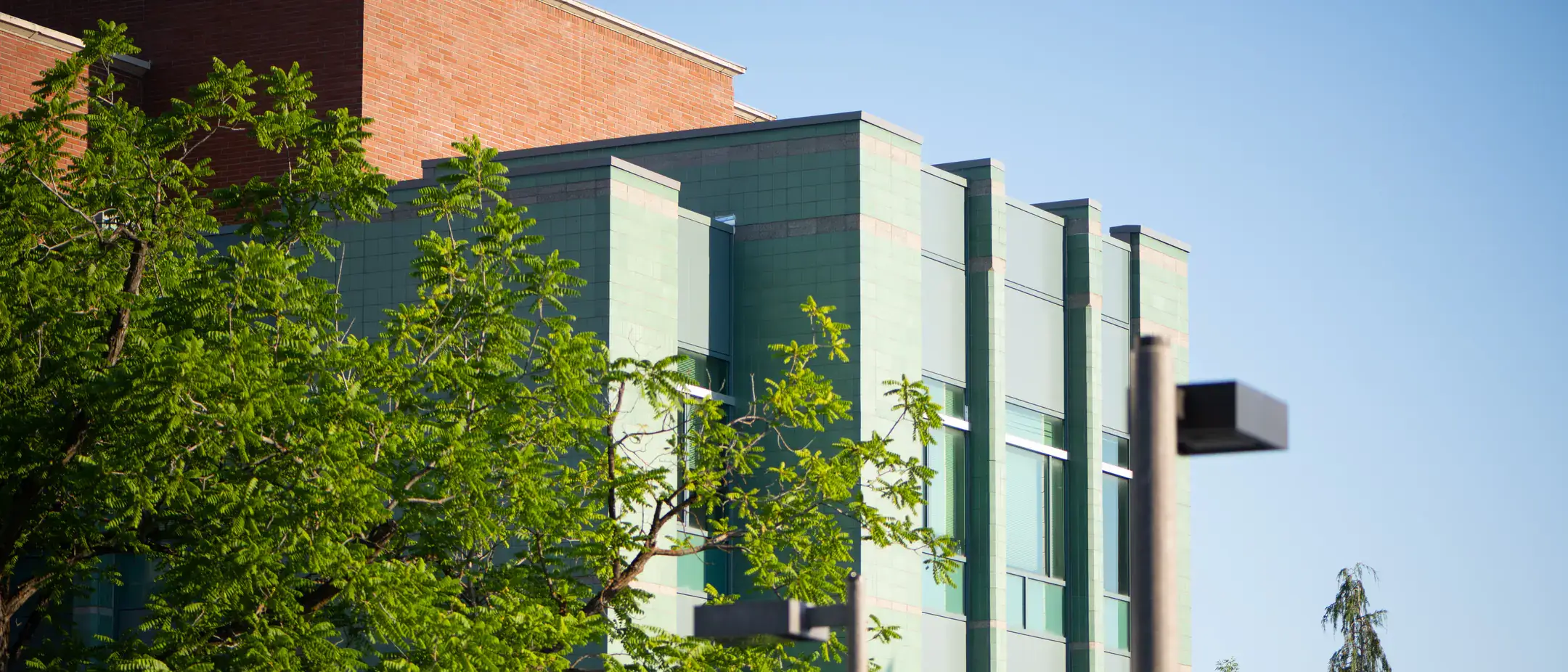 Season campus scenery spring stock