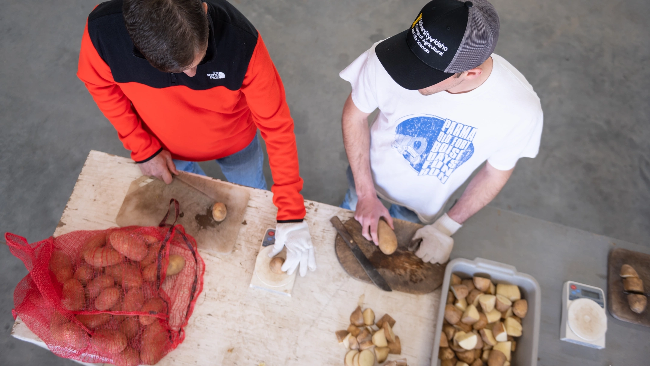 College of Agricultural and Life Sciences Param Research and Extension Center feature