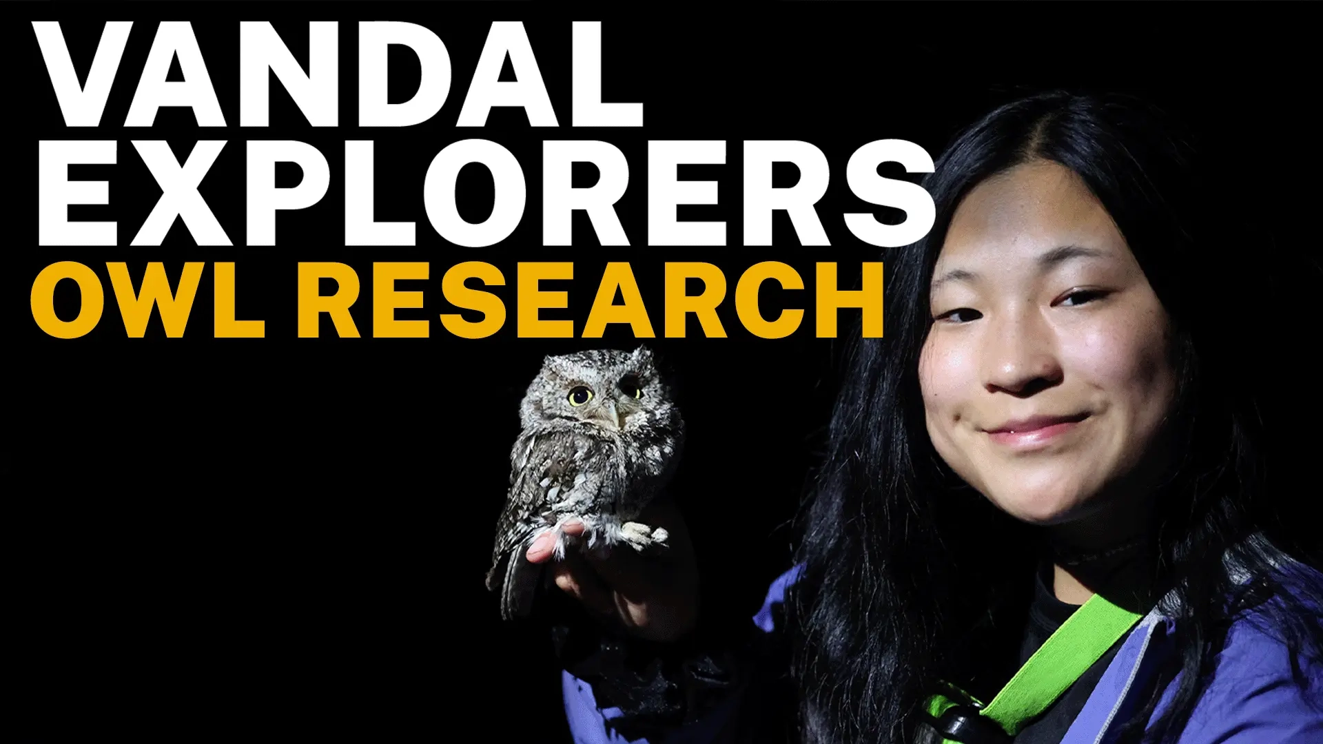 A woman holds an owl in the dark