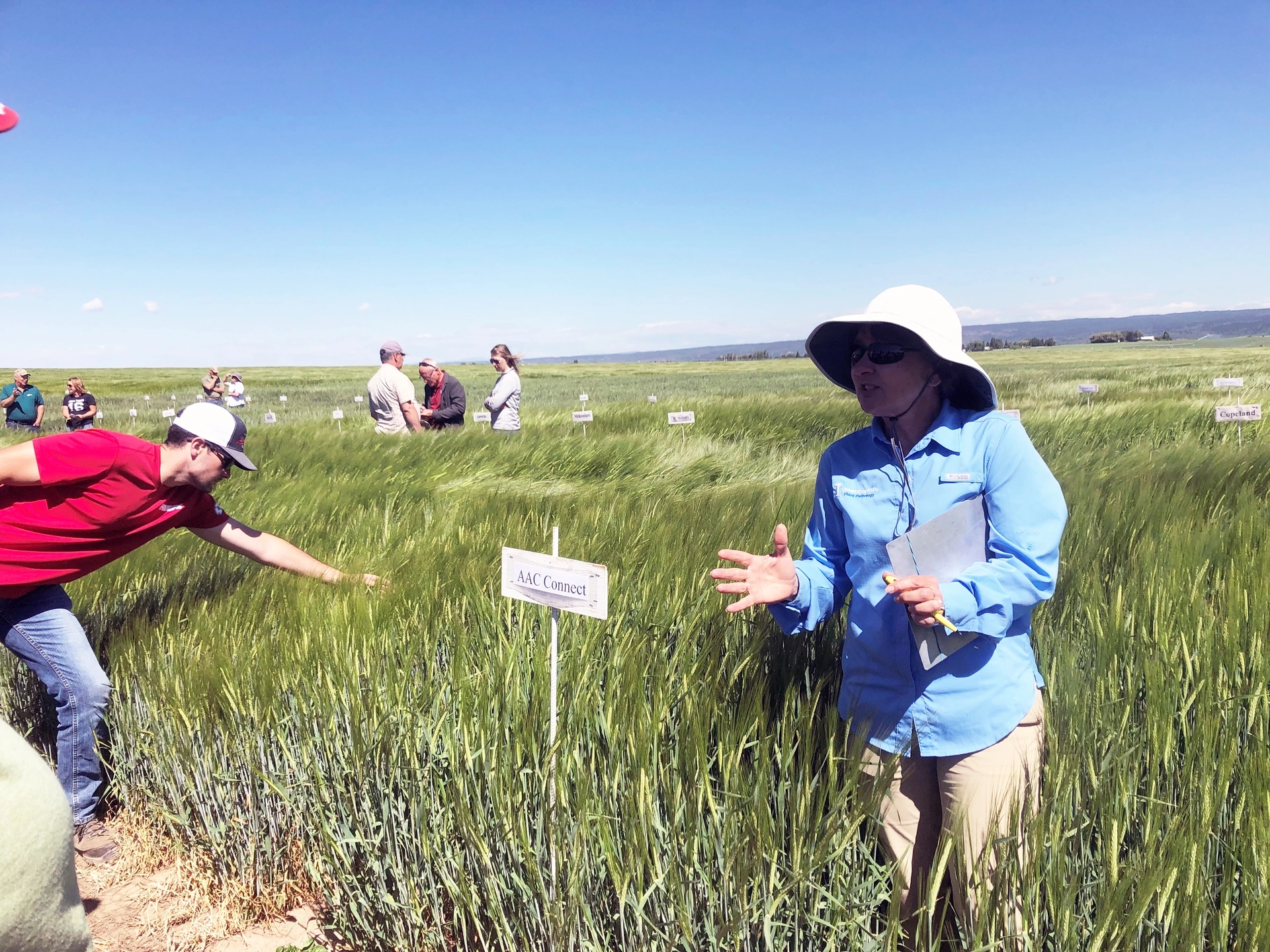 A group learning about wheat and barley field trials.