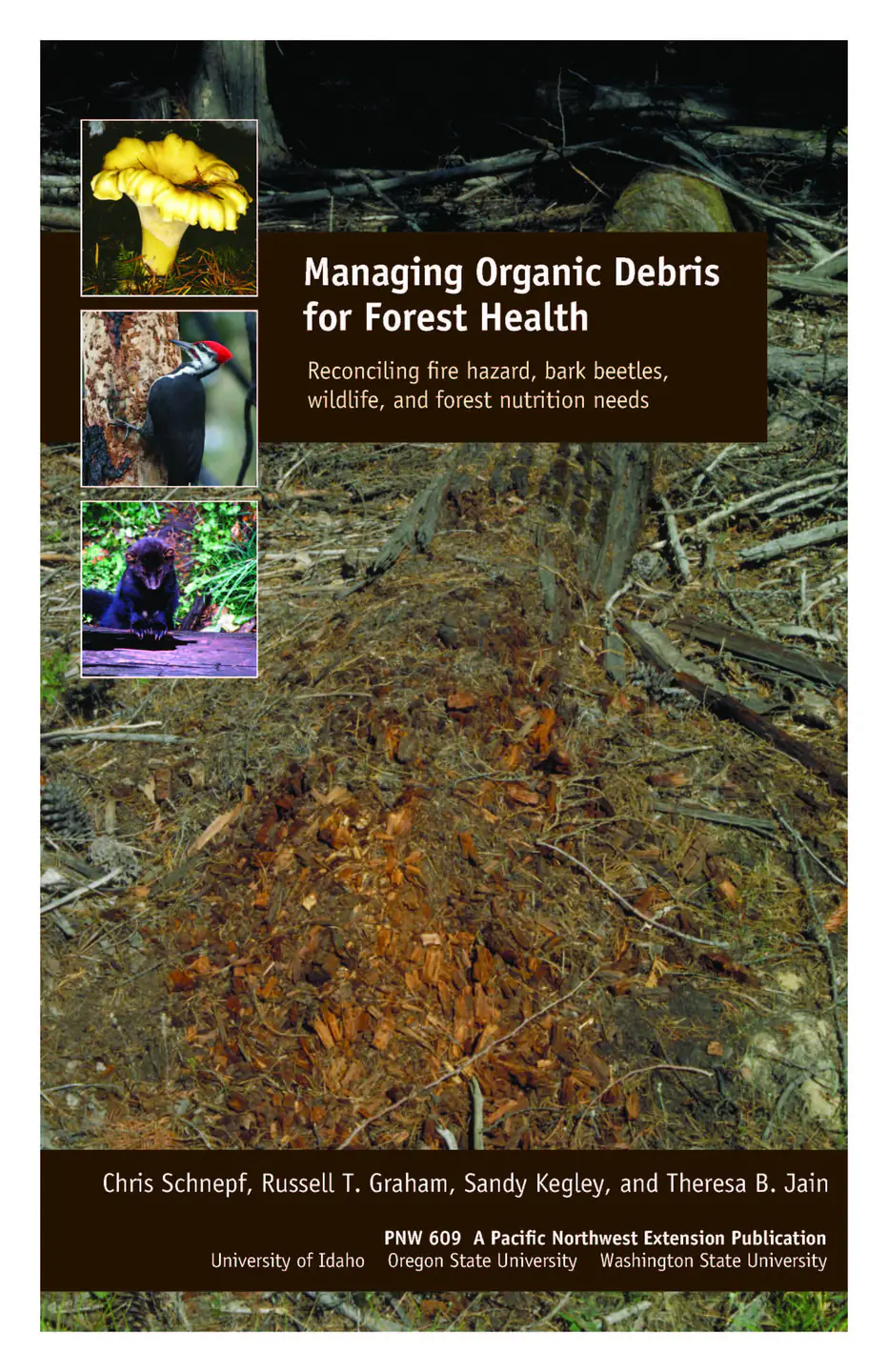 pnw-0609 cover.jpg