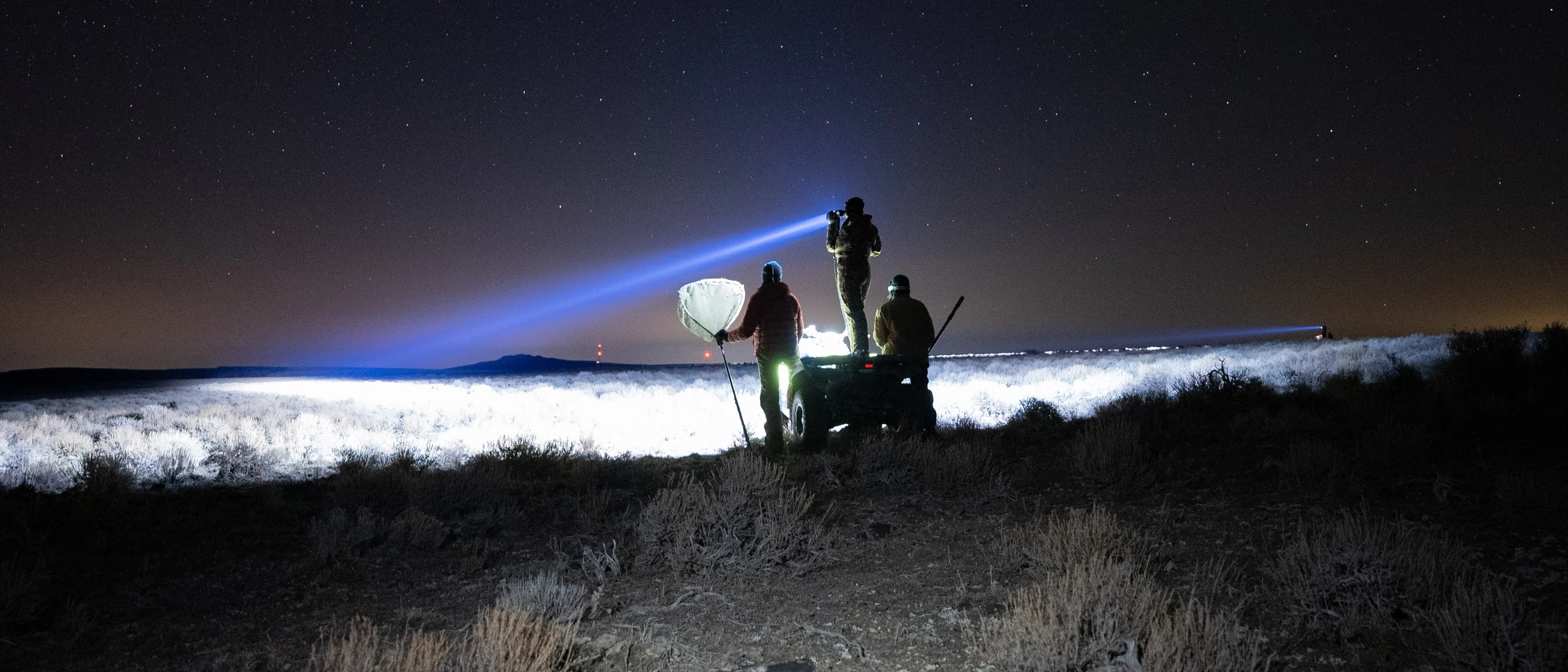 Researchers looking for Sage Grouse at night