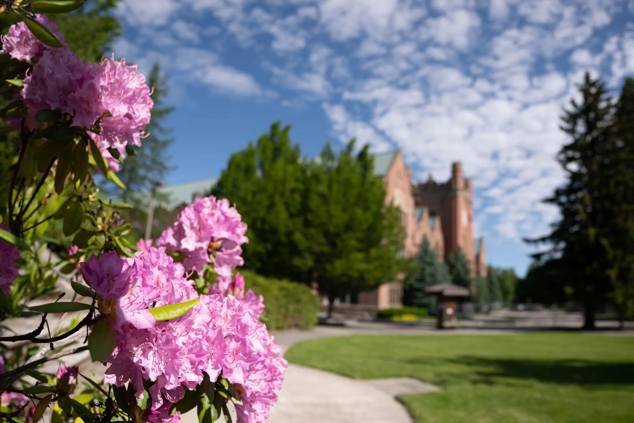 Spring photography on the Moscow Campus and surrouning area for SEM
