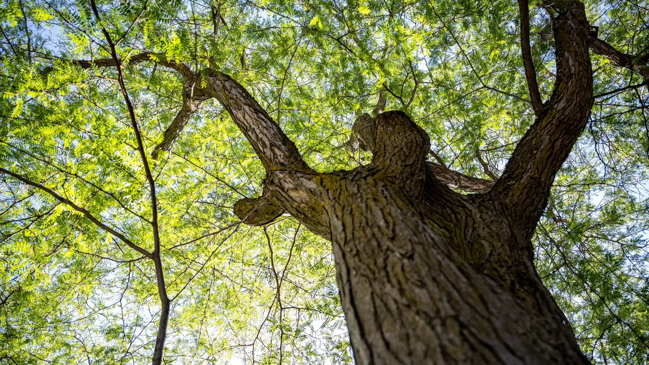 University of Idaho Campus summer stock 2022