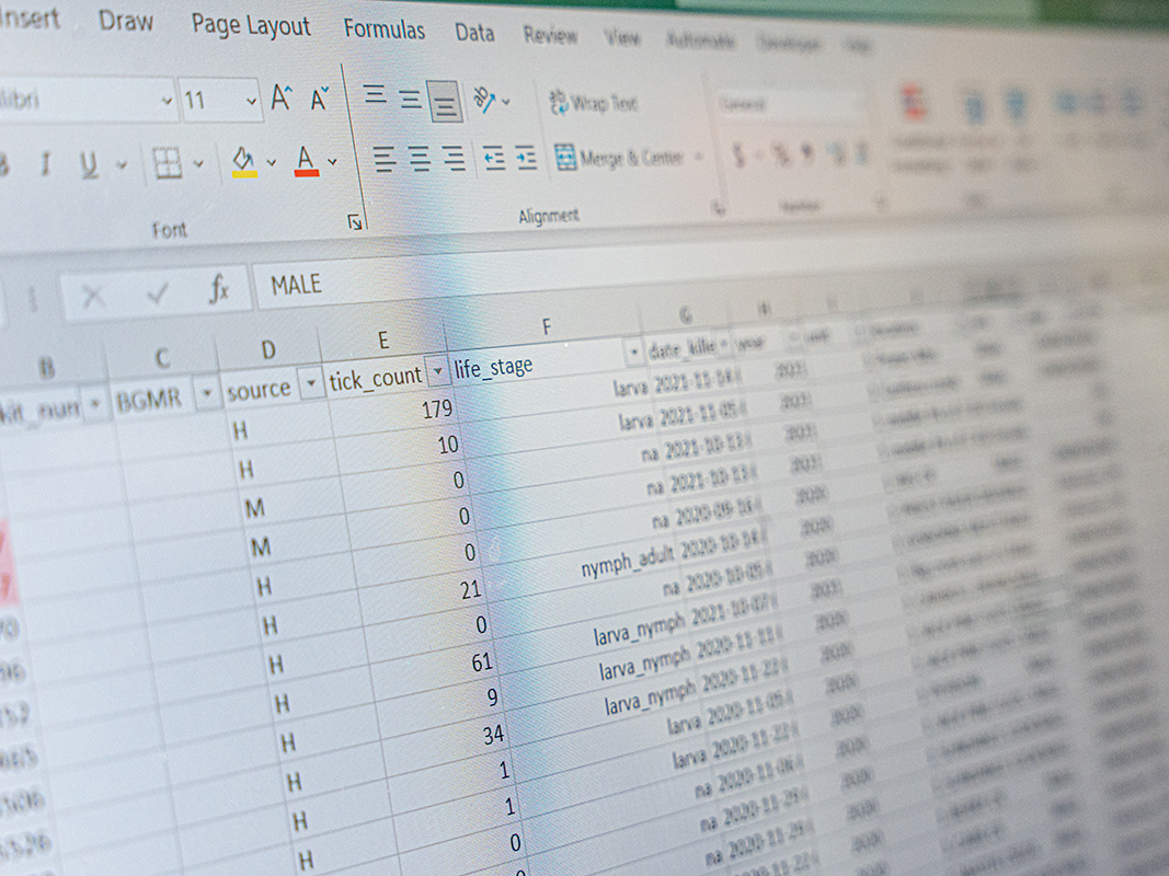 Data on a computer screen.