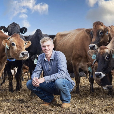 A man squatting surrounded with cows