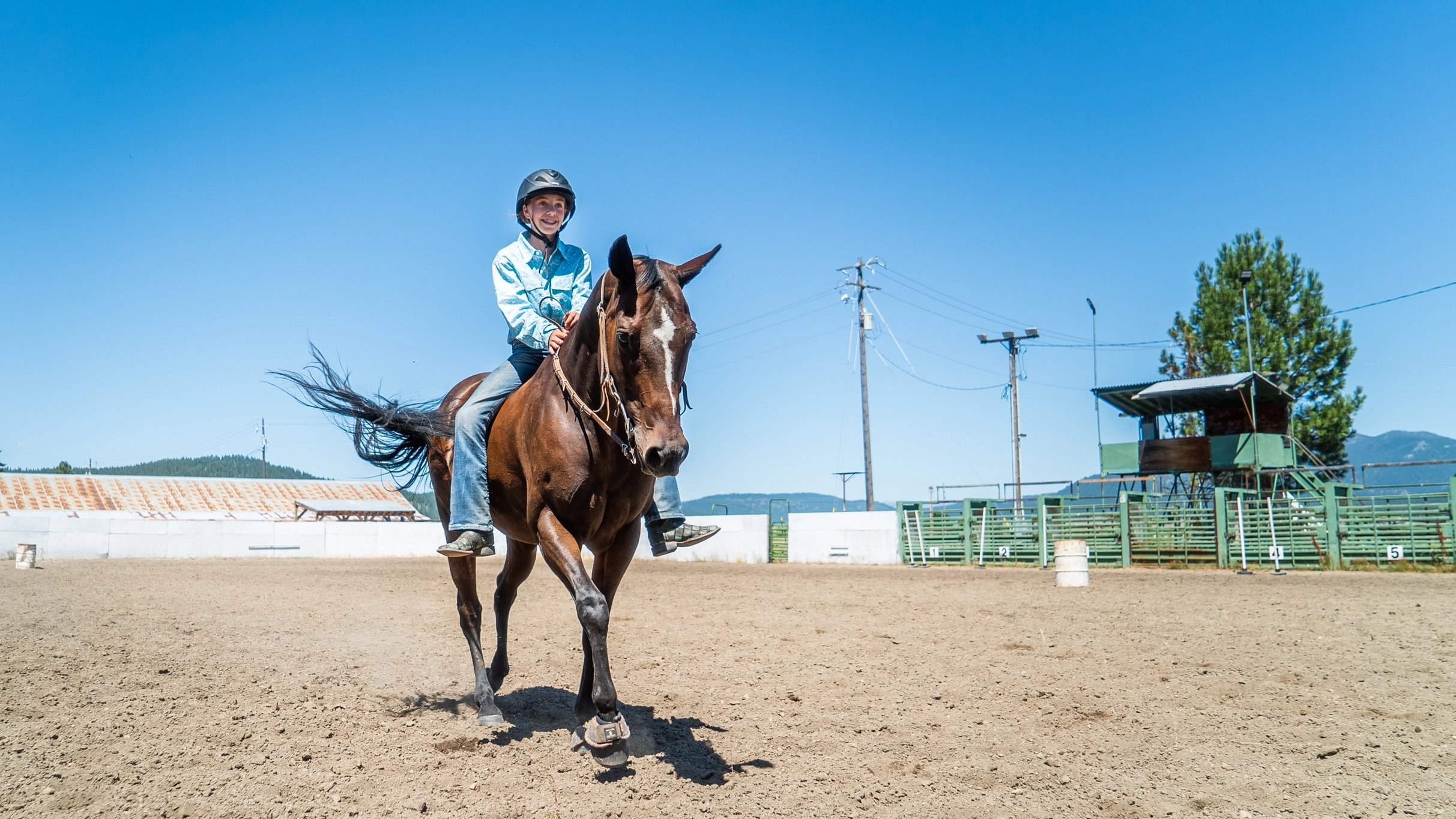 4-h horse and shooting sports photos for website