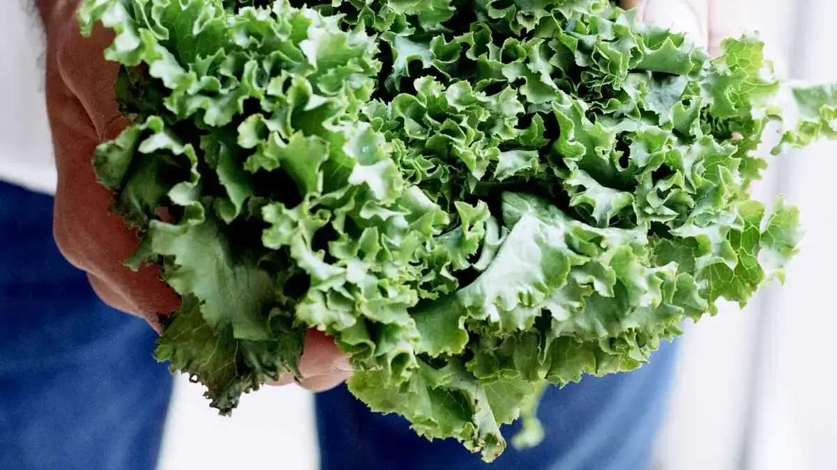 Landscapes and Gardens photos