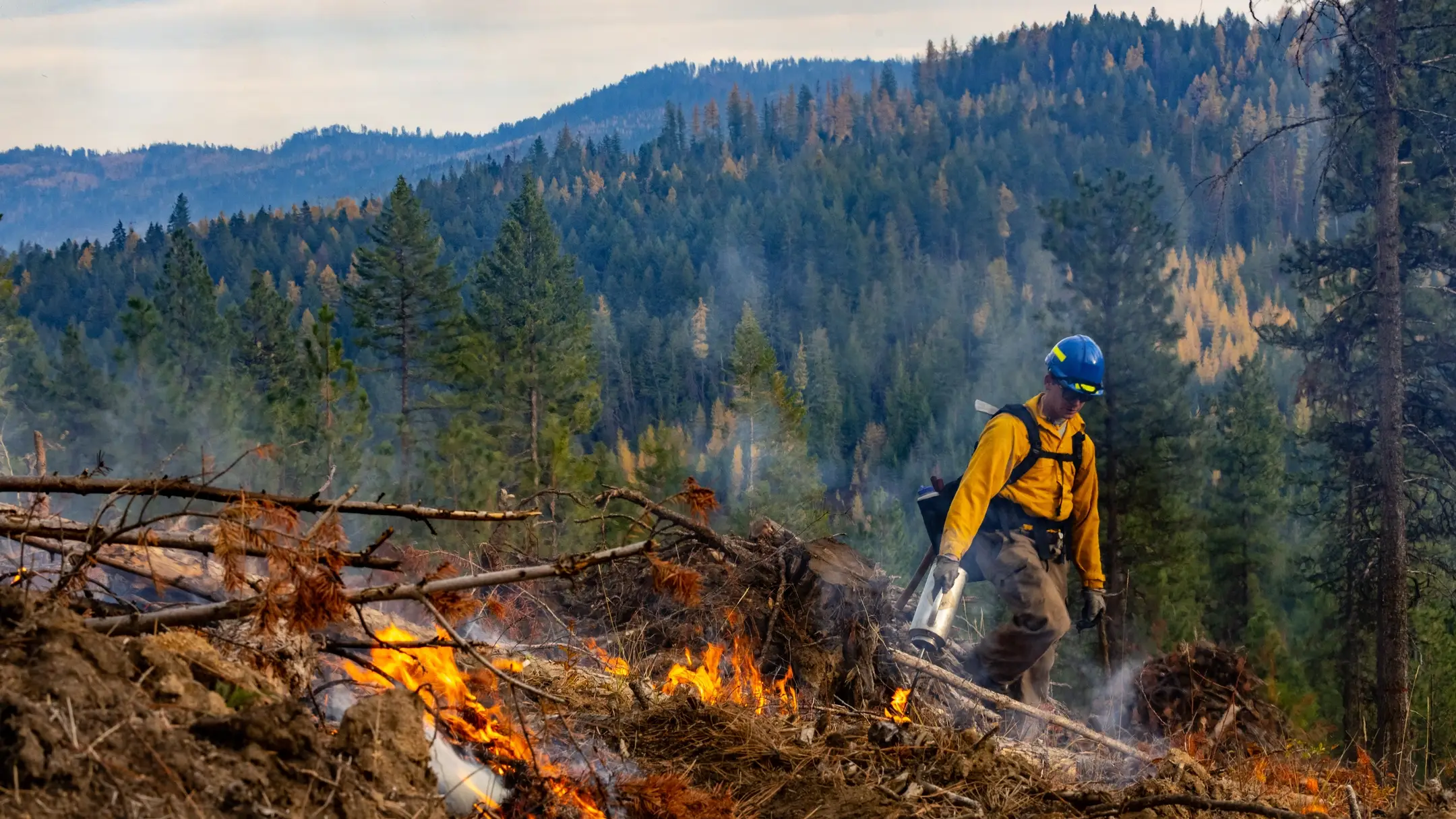 College of Natrual Resource University of Idaho Experimental Forest prescribed burn