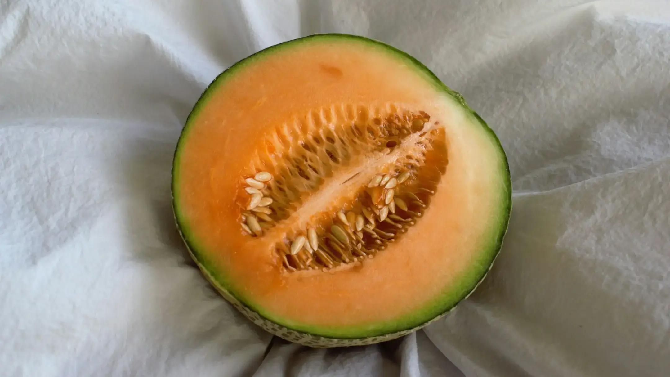 Landscapes and Gardens photos