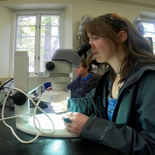 A student uses a microscope.
