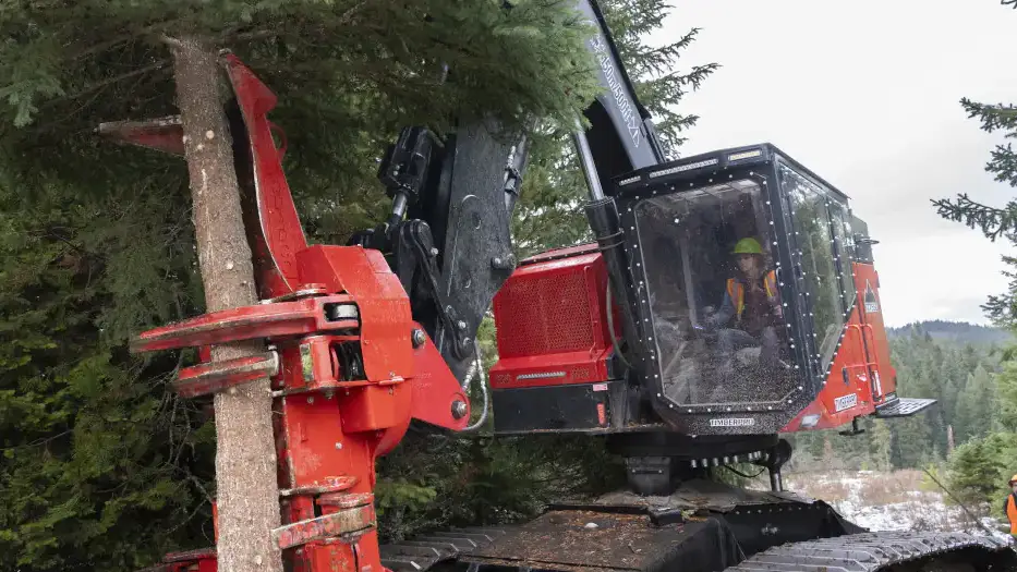 Maria Kinne harvests trees from inside the cabin of a heavy machinery vehicle