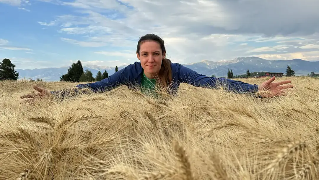 A person is leaning over a field of golden wheat with a cloud-streaked sky and distant mountains in the background.
