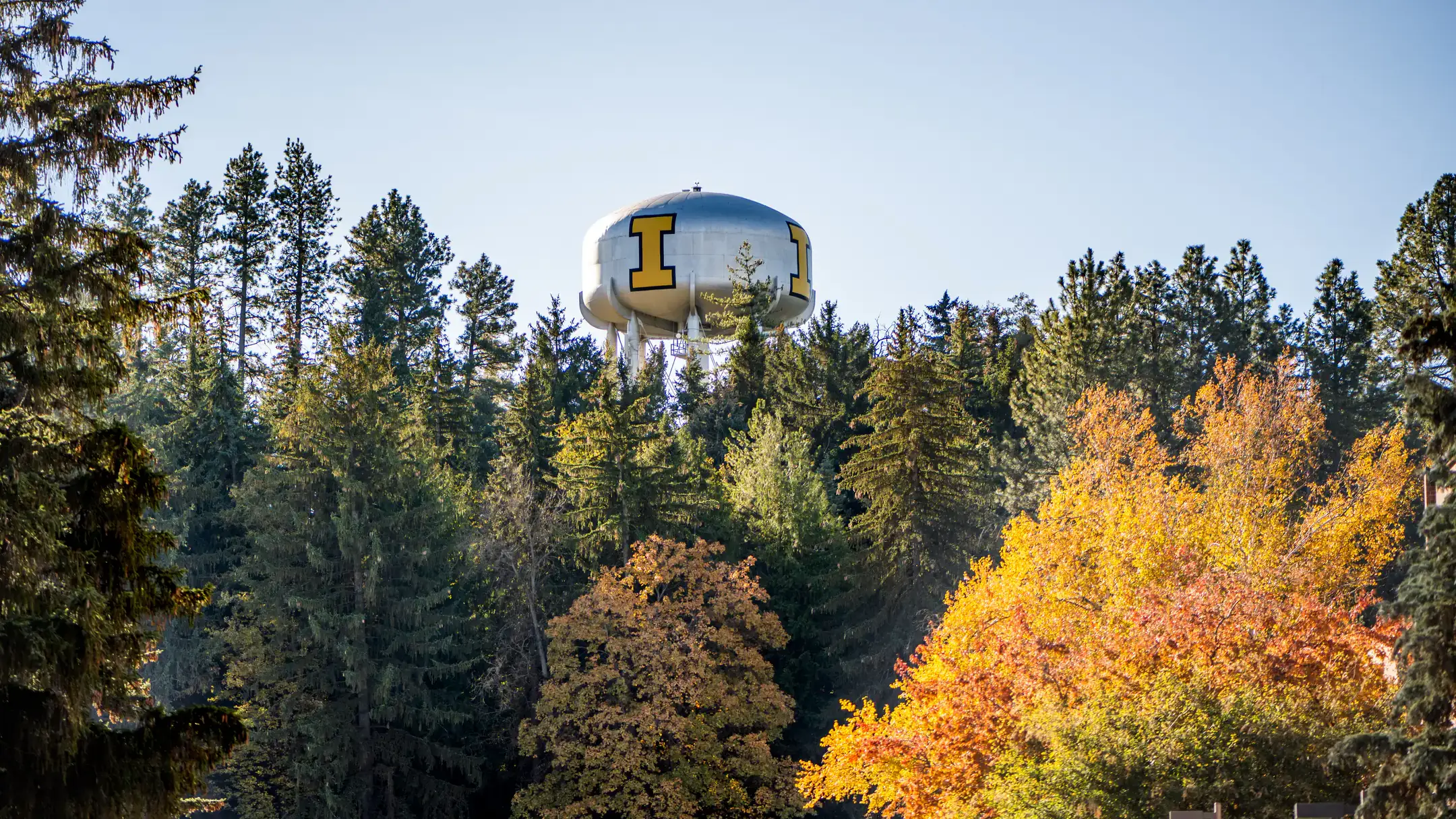Stock Photos of Campus in the Fall
