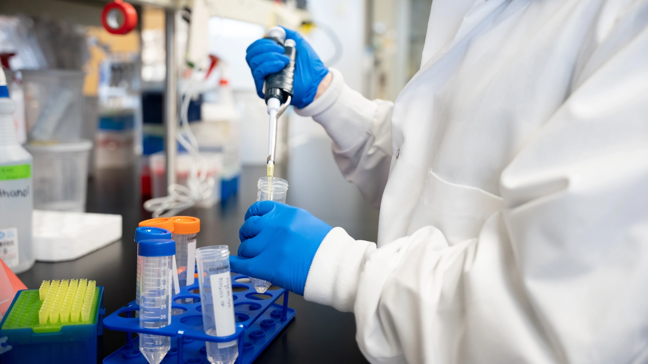 Three undergraduate students working with Professor Shirley Luckhart that have received 2022 University of Idaho USDA research scholarships to study how pathogens, in this case bacteria that cause malaria, can be blocked inside cells.