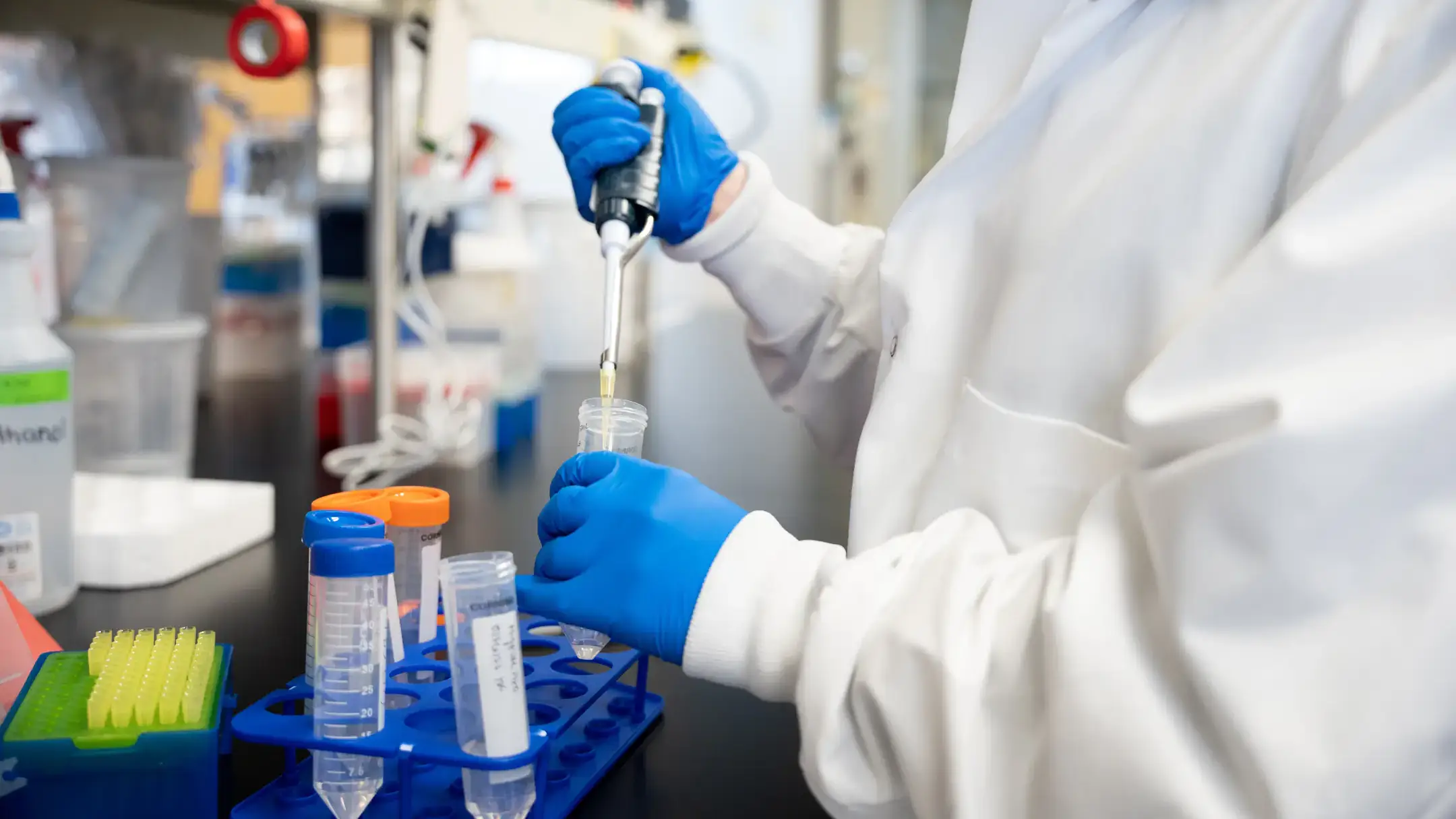 A person wearing a lab coat and blue rubber gloves fills tubes in a laboratory.