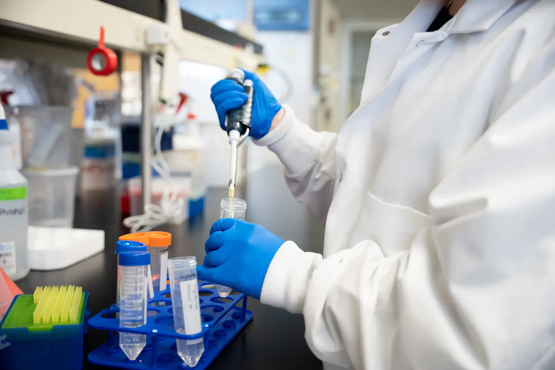 Three undergraduate students working with Professor Shirley Luckhart that have received 2022 University of Idaho USDA research scholarships to study how pathogens, in this case bacteria that cause malaria, can be blocked inside cells.