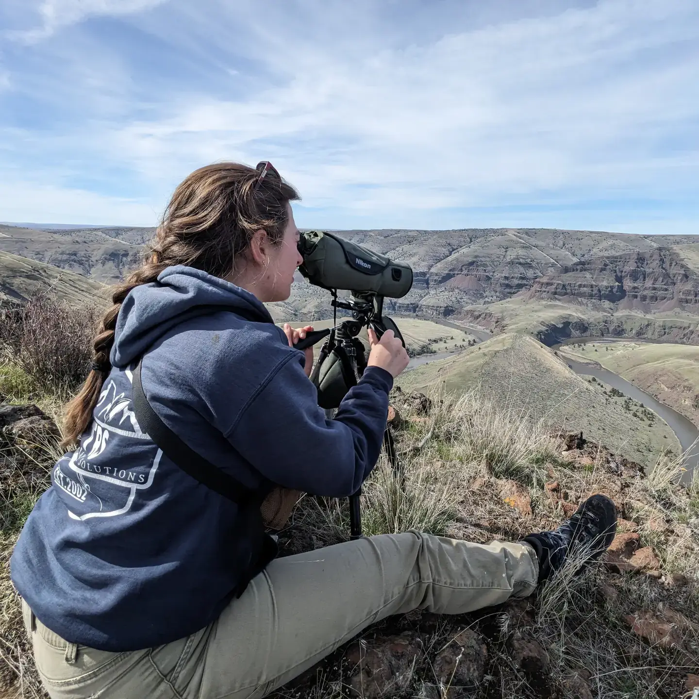 College of Natural Resources graduate student and researcher Alexis Means observes a herd of bighorn sheep to study how they utilize the foodscape across the John Day River canyon in Oregon.