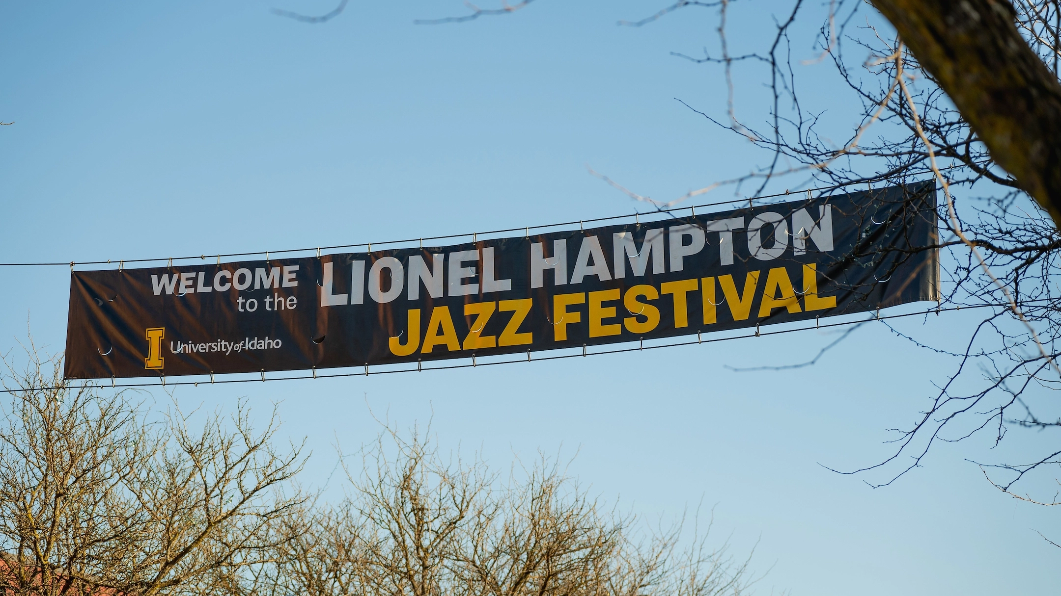 A Lionel Hampton Jazz Festival street banner