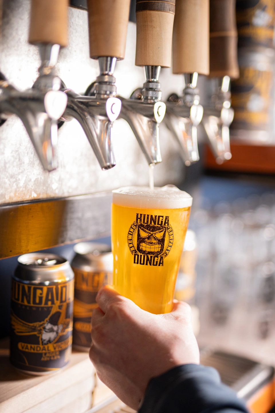 Tap pour of Vandal Victory Lager at the Hunga Dunga Brewing Company in Moscow Idaho owned and operated by University of Idaho Alumnus Graham Lilly.