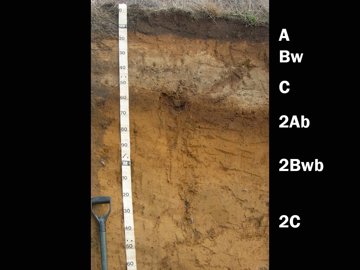 A photo of andisols that include a tape measure