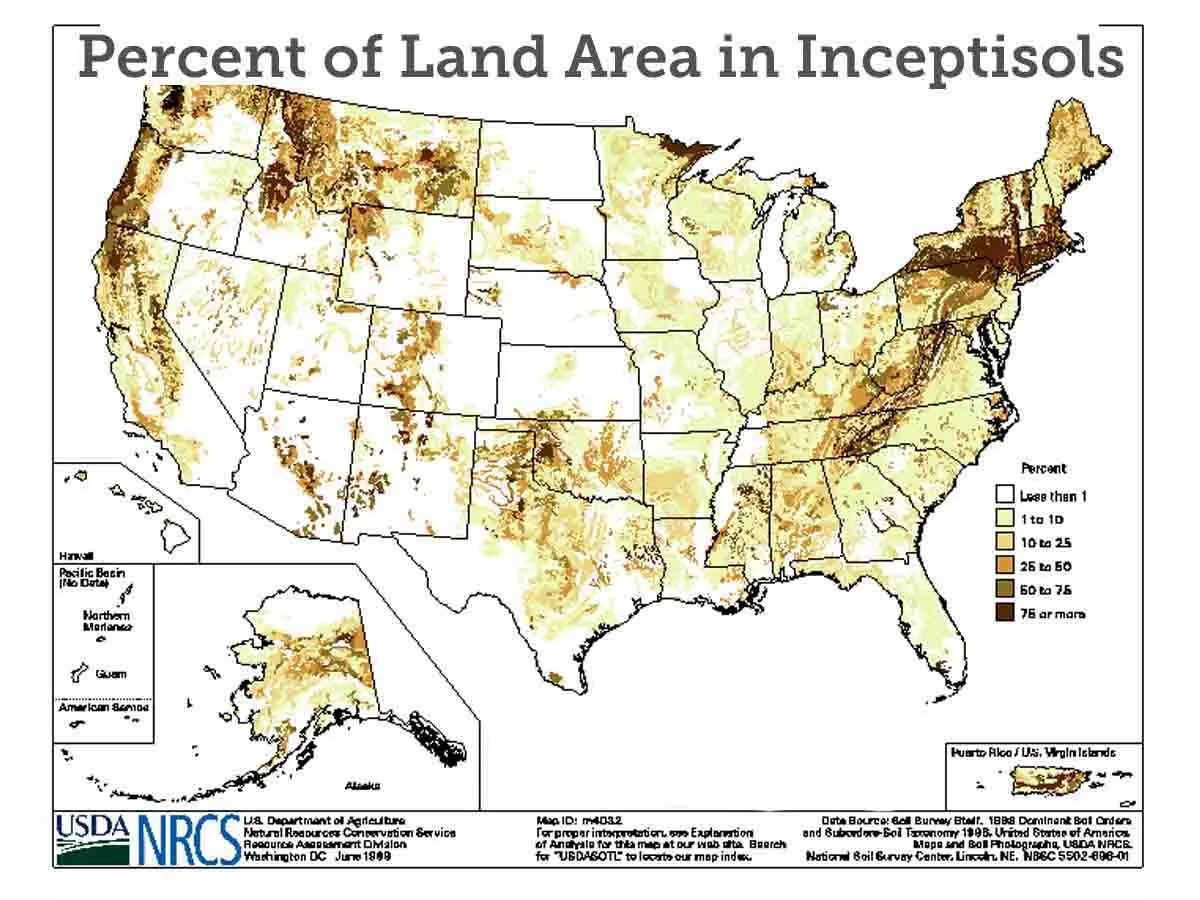 A US map of percent of land area in inceptisols