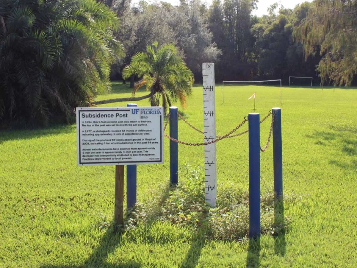 histosol subsidence