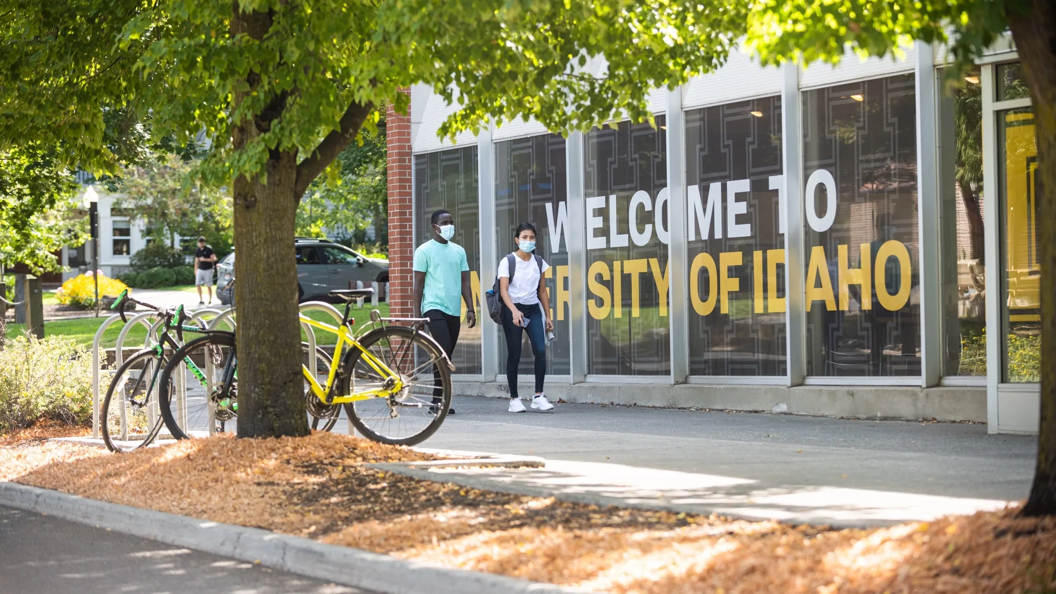 Seasonal campus scenery in the fall