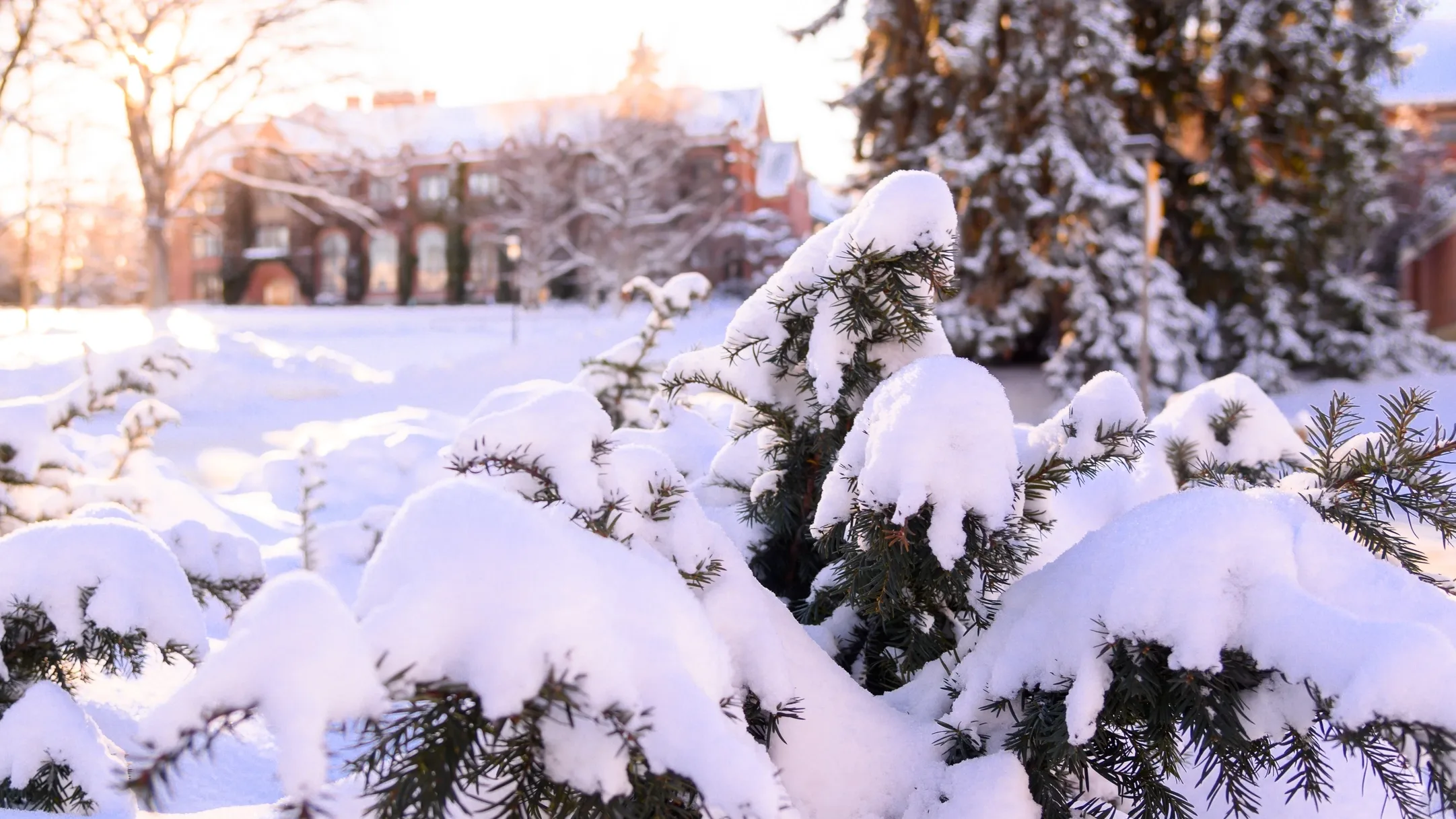 Campus winter stock 2020