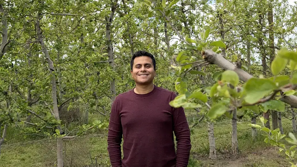 A man stands in an orchard.