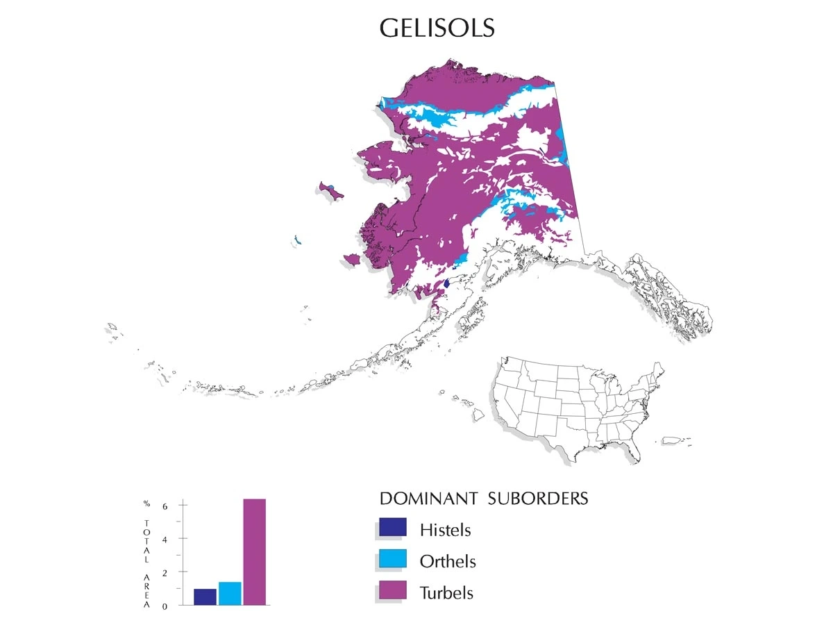 A map of dominant suborders of gelisols