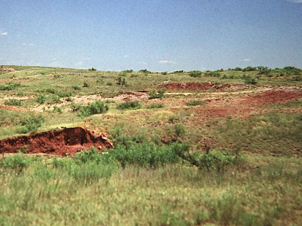 Haplustept landscape in Texas