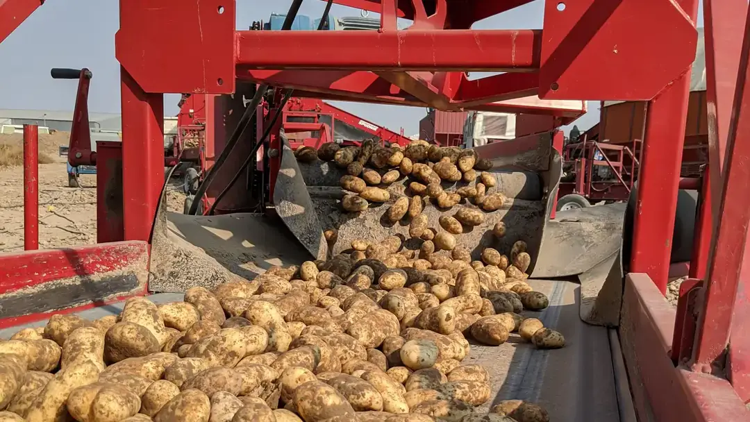 Potato photos and USDA NIFA logo