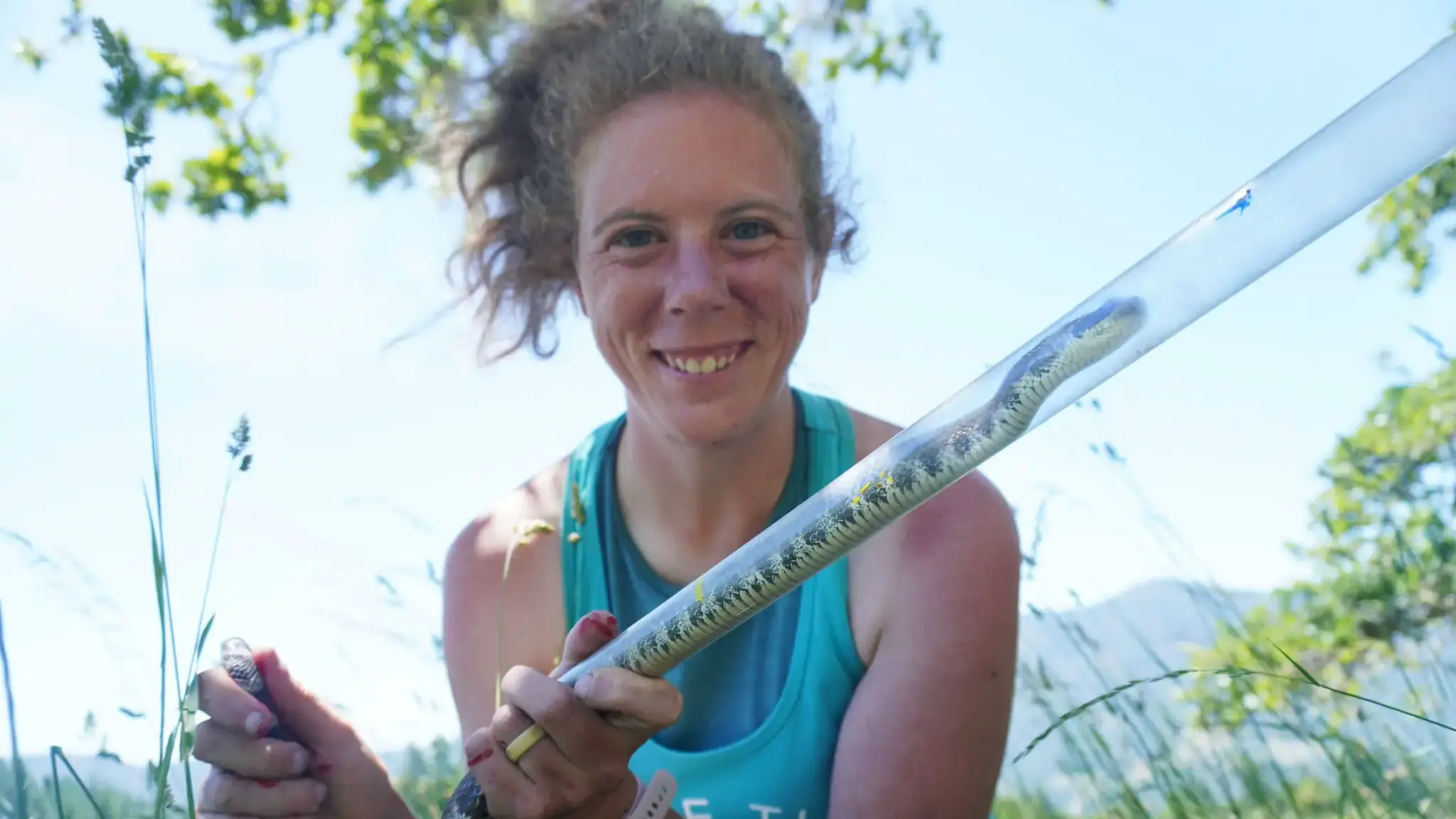 Researcher Emily Martin's Ph.D. work includes learning how rattlesnakes in a part of northeastern Wyoming migrate between nest sites and summer sites.