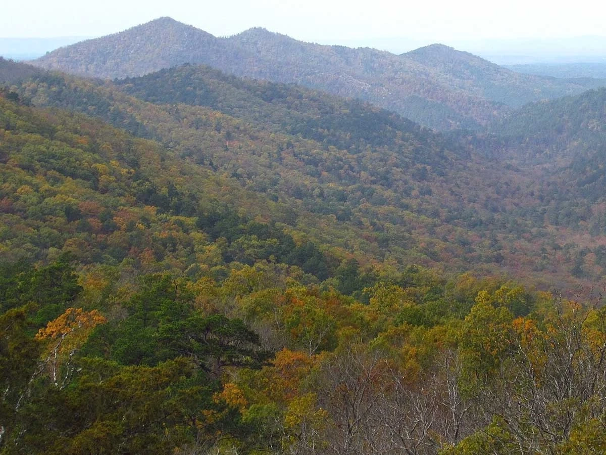 Ouachita mountains