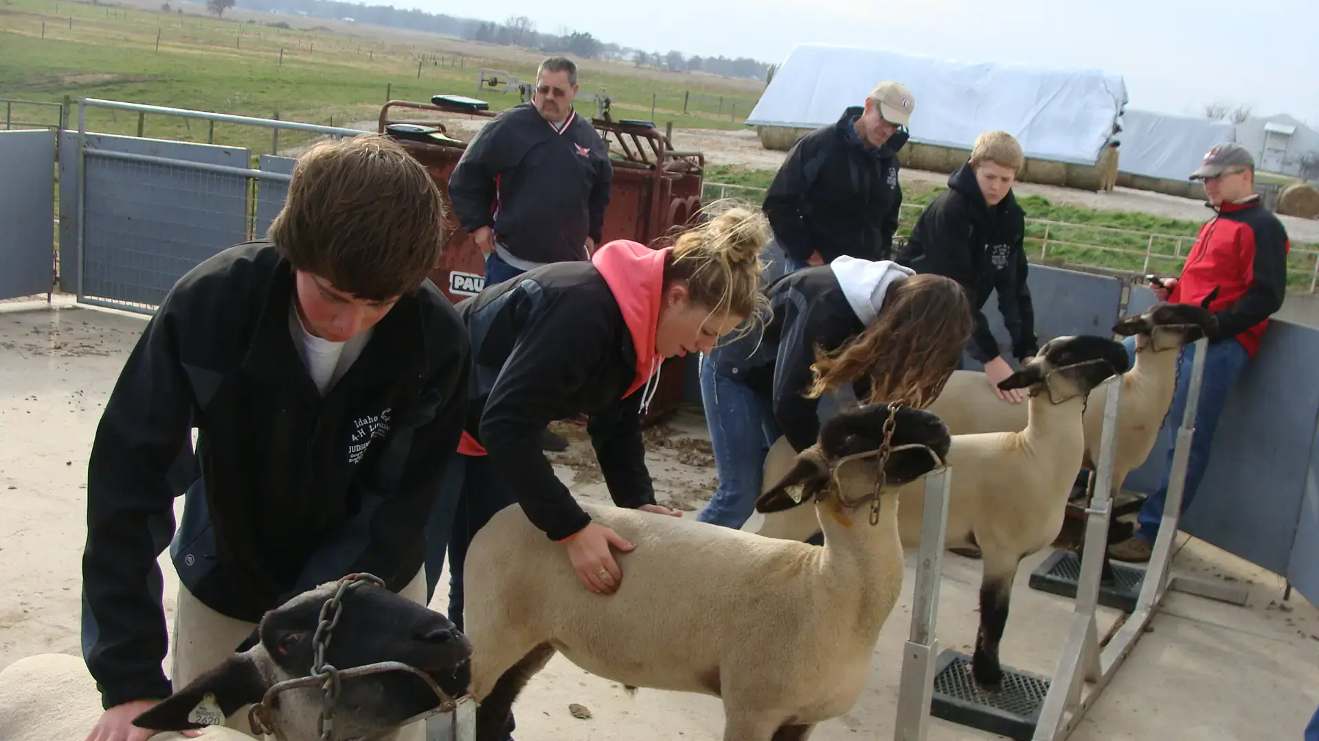 4-H photos for website