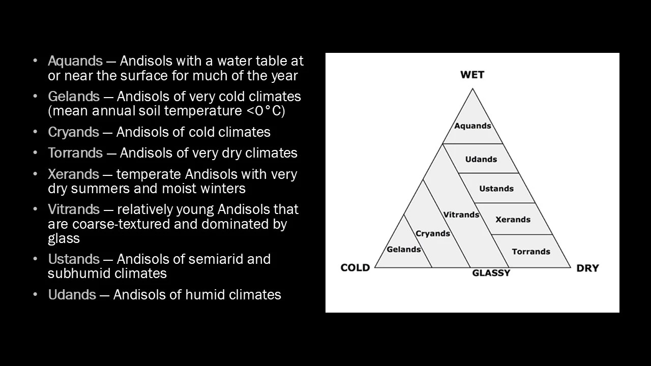 A graphic of a diagram of andisols